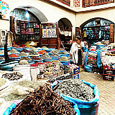 Raquel Oliveira _viagem_5.jpg