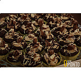 fotos_marca d agua (5).JPG